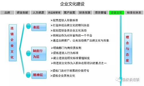 连锁企业战略实施规划报告