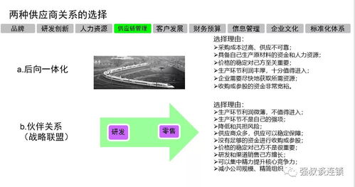 连锁企业战略实施规划报告
